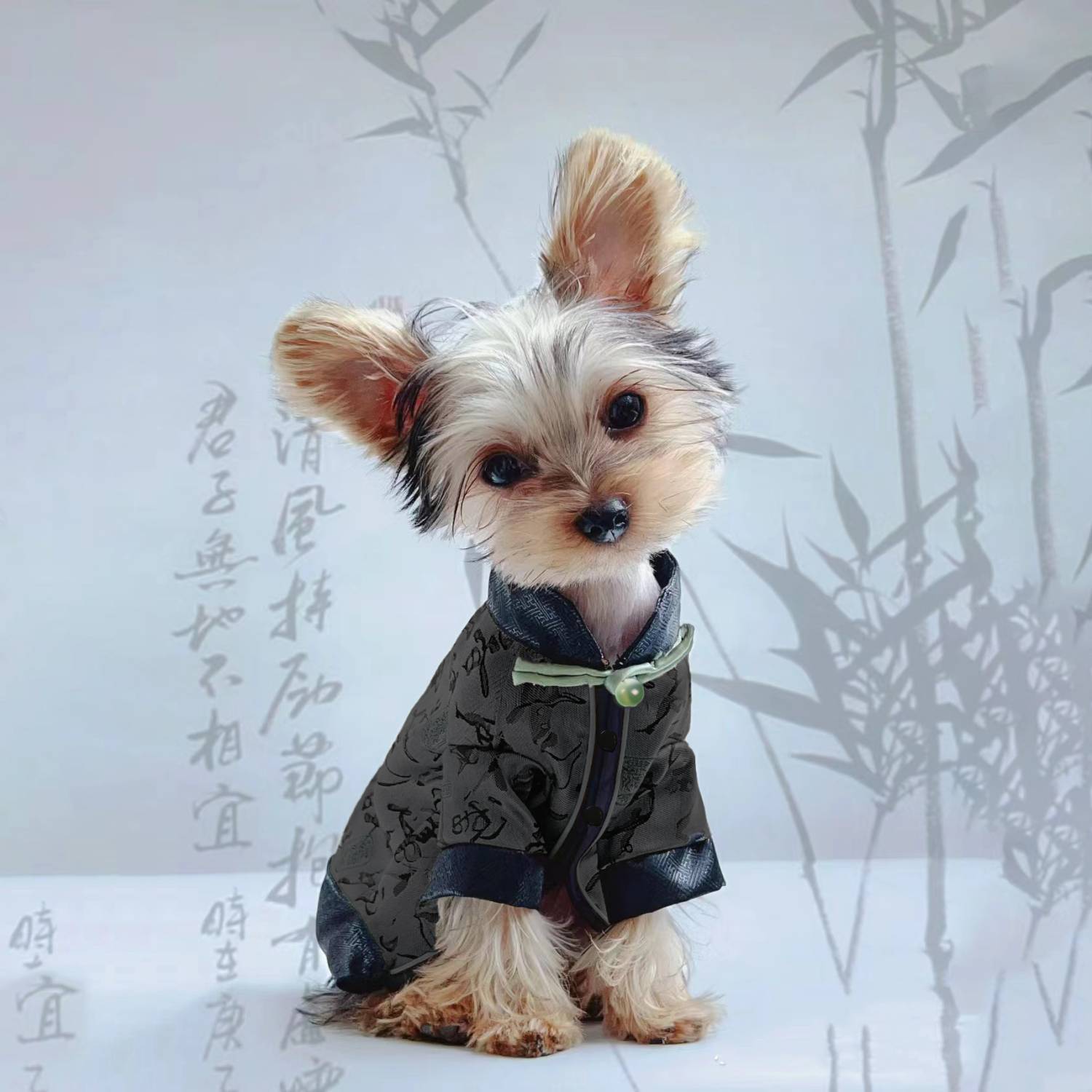 Chinese style calligraphy dog clothes, super lightweight, personalized, for Teddy, Bichon, Pomeranian, Schnauzer small dogs, vest, trendy