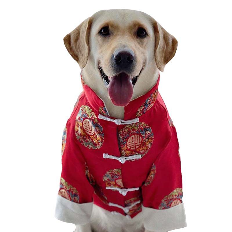 Dog Clothes: Festive Chinese-Style Outfits for Large Breeds—Labrador and Golden Retriever New Year's Tang Suits and New Year Greeting Outfits