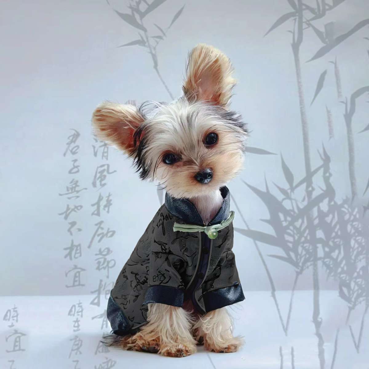 Chinese style calligraphy dog clothes, super lightweight, personalized, for Teddy, Bichon, Pomeranian, Schnauzer small dogs, vest, trendy