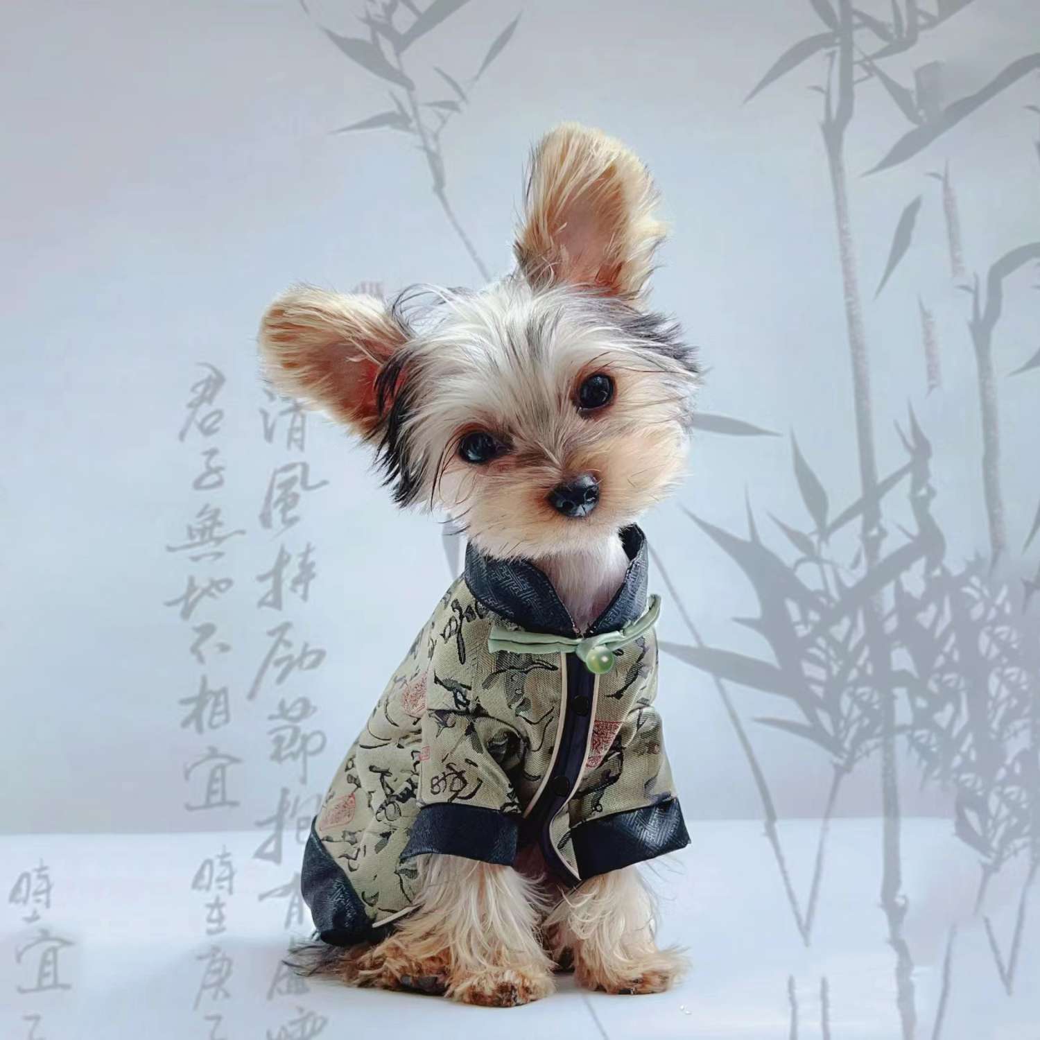 Chinese style calligraphy dog clothes, super lightweight, personalized, for Teddy, Bichon, Pomeranian, Schnauzer small dogs, vest, trendy